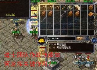 ��ʿ�Ŷ���ս������η��ӹؼ����ã�