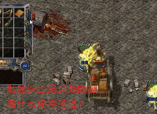 ���ö������������ʲô����ͨ����