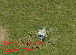 ��������ε���BOSS�ưԷ����½��