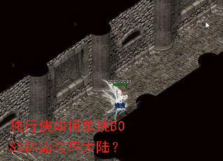 ��������ε���BOSS�ưԷ����½��