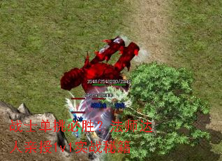 սʿ������ʤ����ʦ��������1v1ʵս�ؼ�