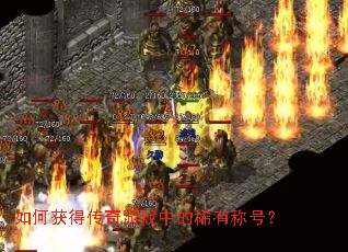 ��λ�ô�����Ϸ�е�ϡ�гƺţ�