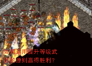 ������������ȼ�������ԭ��Ӯ��ʤ����