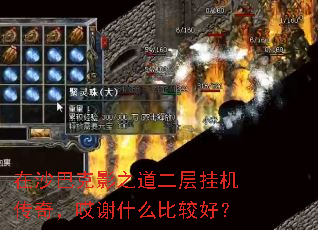 ��ɳ�Ϳ�Ӱ֮������һ����棬��лʲô�ȽϺã�