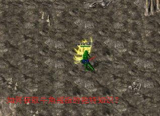 ��λ�ȡţ�ǽ�ָ�Ķ���֪ʶ��