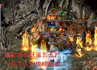 ���ߴ���������ô���������Ź���ָ��