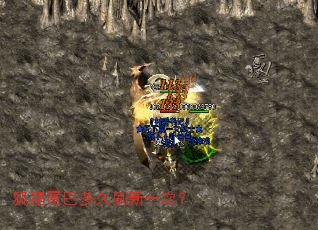 ����β�Ͷ��ˢ��һ�Σ�
