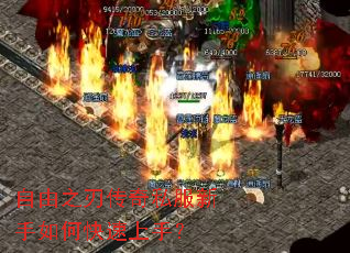 ����֮�д���˽��������ο������֣�