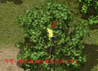 ����sf���ɷ�������¾����淨��