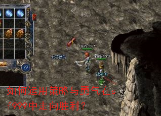 ������ò�����������sf999������ʤ����