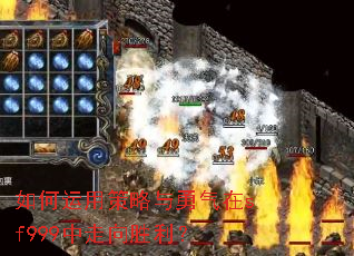 ������ò�����������sf999������ʤ����