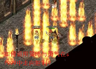 ������ò�����������sf999������ʤ����