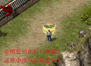 ���Ӧ�԰�����֩�룿��ЩС������֪����