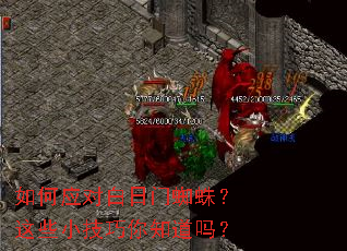 ���Ӧ�԰�����֩�룿��ЩС������֪����