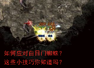 ���Ӧ�԰�����֩�룿��ЩС������֪����