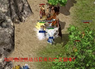 ��θ�Ч��ս����Ӣ�����鸱����