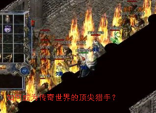 ��γ�Ϊ��������Ķ������֣�