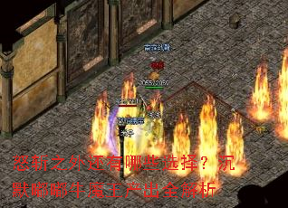 ŭն֮�⻹����Щѡ�񣿳�Ĭ��ţħ������ȫ����
