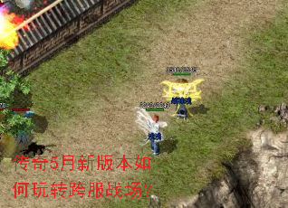 ����5���°汾�����ת���ս����