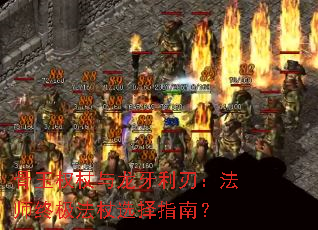 ����Ȩ�����������У���ʦ�ռ�����ѡ��ָ�ϣ�