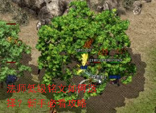 ��ʦ�ͼ��������ѡ�����ֱؿ�����
