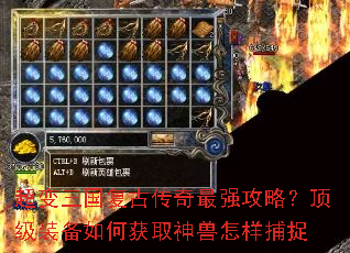�����������Ŵ�����ǿ���ԣ�����װ����λ�ȡ����������׽