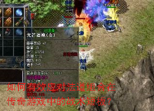 �����ЧӦ�Է�������ڴ�����Ϸ�е�ս���̰壿