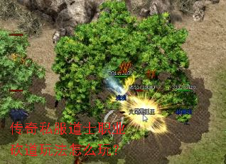 ����˽����ʿְҵ�����淨��ô�棿