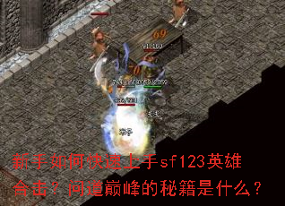 ������ο�������sf123Ӣ�ۺϻ����ʵ��۷���ؼ���ʲô��