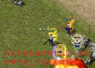 ������˫˽��������ô�棿������ο������ֳ�Ϊ�۷������