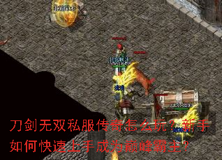 ������˫˽��������ô�棿������ο������ֳ�Ϊ�۷������