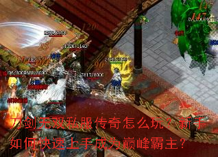 ������˫˽��������ô�棿������ο������ֳ�Ϊ�۷������