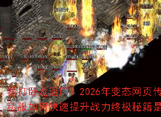 ��������������2026���̬��ҳ����˽����ο�������ս���ռ��ؼ���ʲô��