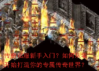 ����˽���������ţ���δ��㿪ʼ�������ר���������磿