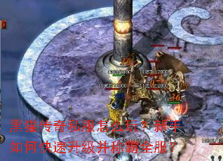 ��è����˽����ô�棿������ο����������ư�ȫ����