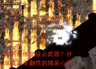�����������Ʒ�����������ɹ��ʷ����Ķ����ĵ�