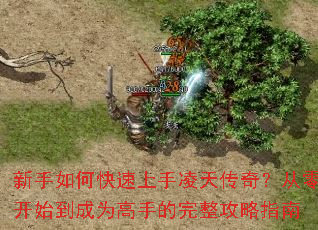 ������ο����������촫�棿���㿪ʼ����Ϊ���ֵ���������ָ��