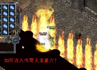 ��ν��봫�������Ѩ��