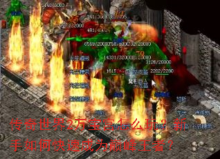 ��������2�򱦹���ô�棿������ο��ٳ�Ϊ�۷����ߣ�