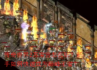 ��������2�򱦹���ô�棿������ο��ٳ�Ϊ�۷����ߣ�