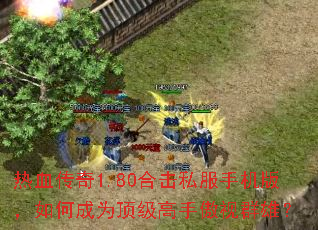 ��Ѫ����1.80�ϻ�˽���ֻ��棬��γ�Ϊ�������ְ���Ⱥ�ۣ�