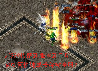 sf999�����·������������ο��ٳɳ��ư�ȫ����