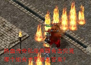 ��Ѫ����˽��Ӣ�ۺϻ������ĸ���ϲ��ǰ汾�𰸣�