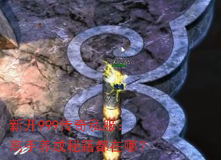 �¿�999����˽�������������ؼ������ģ�