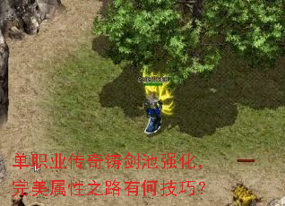 单职业传奇铸剑池强化,完美属性之路有何技巧? 单职业传奇铸剑池强化,完美属性之路有何技巧?