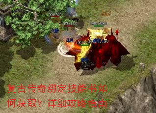 ���Ŵ���󶨼�������λ�ȡ����ϸ����ָ��