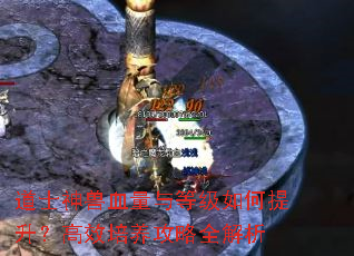 ��ʿ����Ѫ����ȼ������������Ч��������ȫ����