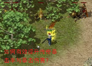 如何有效提升传奇暴击率与暴击伤害? 如何有效提升传奇暴击率与暴击伤害?