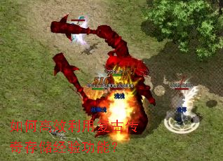 ��θ�Ч���ø��Ŵ���洢���鹦�ܣ�