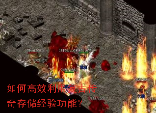��θ�Ч���ø��Ŵ���洢���鹦�ܣ�